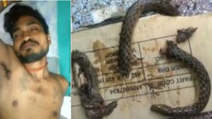 குடிபோதையிலும் தெளிவை பாருங்க.. தன்னை கடித்த பாம்பை.. 3 துண்டாக கடித்து துப்பிய இளைஞர் 