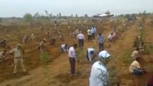அனிதாவை கொடூரமாக தாக்கிய அதே இடத்தில்  மரம் நட்டு அதிரடி பதிலடி கொடுத்த வனத்துறை! 