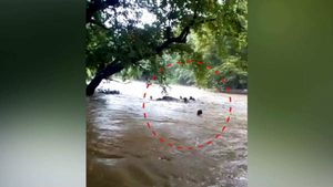 மாயாற்றில்.. மரக்கட்டையில் மிதந்து வந்த நீலியம்மாள் சடலம்.. வைரலாகும் சோக காட்சி 