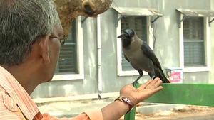 செல்வராஜ் மடியில் சொகுசாக உட்கார்ந்து கொண்டு.. கையில் இருப்பதை கொத்திக் கொத்தி.. வாவ் காக்கா! 