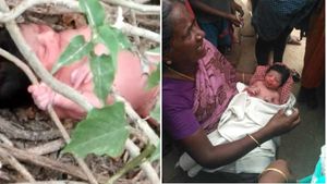 மர வேர்களுக்கு இடையில் சிக்கிக் கொண்ட பச்சிளம் குழந்தை.. துடித்துக் கதறிய கொடுமை.. நெல்லை அருகே! 