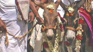 ஆஹா கல்யாணம்... மைக் செட் வைத்து.. மேளதாளம் முழங்க... பஞ்ச கல்யாணிகளுக்கு கல்யாணம்