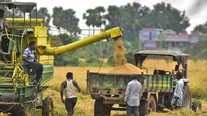மானிய விதையை புறக்கணிக்கும் விவசாயிகள்.. ஆந்திரா, தெலுங்கானா நெல் ரகங்களை பயிரிடுவதில் ஆர்வம் 
