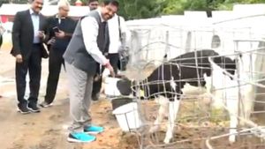 ப்ளூ கலர் ஸ்போர்ட்ஸ் ஷூ.. முகமெல்லாம் புன்னகை.. அமெரிக்க பஃபல்லோ பண்ணையில் அசத்திய எடப்பாடியார் 