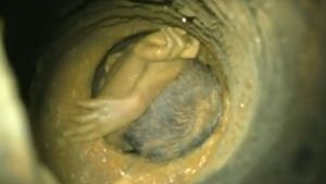 அசைவில்லாமல் இருக்கும் குழந்தை சுஜித்.. மயக்க நிலையில் இருக்கலாம்.. திருச்சி ஆட்சியர் 