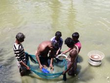 பண்ணை குட்டை மூலம் மாதம் 300 கிலோ மீன்... மனநிறைவான வருமானம் 