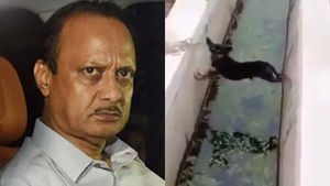 அடடா.. அஜீத் பவார் நிலைமை இப்படி ஆயிருச்சே.. செம கலாய்.. செம கலாய்! 