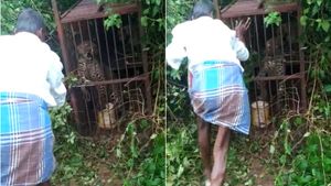 கூண்டுக்குள் இருந்த சிறுத்தையை சீண்டிய மஞ்சுநாத்.. நொடிப்பொழுதில் நடந்த கொடூரம்.. திக், திக் வீடியோ 
