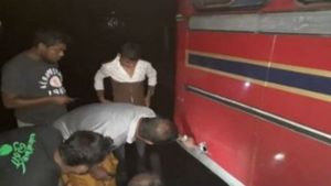 இலங்கை: மன்னார் அருகே வாக்காளர்  பேருந்து மீது துப்பாக்கிச் சூடு- மரங்களை வெட்டி தடை- பதற்றம்! 