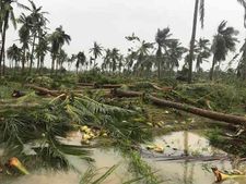 கோரத்தாண்டவம் ஆடிய கஜா புயல்... ஓராண்டு நினைவலைகள் 