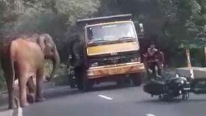 டூவீலரை கீழே தள்ளிவிட்ட காட்டு யானை.. தெறித்து ஓடிய இளைஞர்கள்.. உயிரை காப்பாற்றிய லாரி ஓட்டுநர்! 