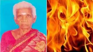 ஆட்டு கொட்டகையில் ஏகப்பட்ட கொசு.. விரட்டியடிக்க புகை.. 15 ஆடுகளும், அஞ்சம்மாவும் பரிதாப பலி! 