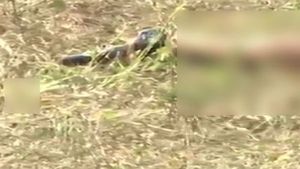 கொல்லப்பட்டவர்கள் கையில் நீட்டிக் கொண்டு இருக்கும் துப்பாக்கி.. போலீஸ் வெளியிட்ட போட்டோ 
