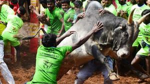 சீறும் 700 காளைகள்.. களமிறங்கிய 730 வீரர்கள்.. தெறிக்கவிடும் புகழ்பெற்ற அவனியாபுரம் ஜல்லிக்கட்டு! 