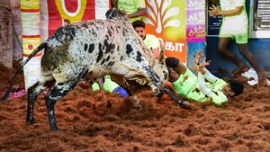  அலங்காநல்லூர் ஜல்லிக்கட்டு.. பாய்ந்து பாய்ந்து அடக்கிய ரஞ்சித்.. புதிய ரெக்கார்ட்.. மாஸ் பரிசு! 
