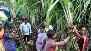 தமிழா் திருநாளாம் பொங்கல் பண்டிகை..  கரும்பு, பொங்கல் பானைகள்.. பொருட்கள் விற்பனை மும்முரம் 