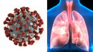 கொரோனா வைரஸ் நுரையீரலை அடைந்தால் பேராபத்து..  எப்படி பாதிக்கிறது.. அதற்கான விளக்கம்! 