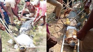  வாய்க்கால் புதரில் பதுங்கி இருந்த 'பயங்கரம்'..அரண்டுப்போன இளைஞர்கள்... திருச்சியில் பரபரப்பு 