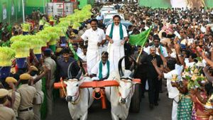காரை துறந்தார்.. கையில் கயிறு பிடித்தார்.. மாட்டு வண்டி ஓட்டி வந்த எடப்பாடியார்.. வியந்துபோன மக்கள் 