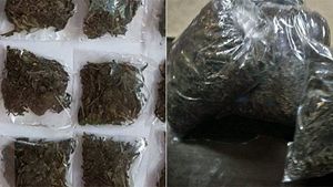 சரக்கு கிடைக்கல.. போதை இல்லாமலும் இருக்க முடியல... கஞ்சாவுக்கு மாறும் குடிகாரர்கள்! 