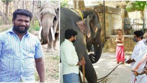 யானைப்பாகன் குடும்பத்திற்கு சரவணன் எம்.எல்.ஏ. நிதியுதவி... நேரில் சந்தித்து ஆறுதல் 