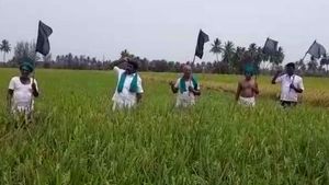 மின்துறை தனியார் மயமாக்குவதற்கு எதிர்ப்பு.. புதுவையில் வயல்களில் இறங்கி விவசாயிகள் போராட்டம்! 