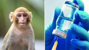 தடுப்பு மருந்து போடப்பட்ட 6 குரங்குகளுக்கும் கொரோனா.. ஆக்ஸ்போர்டு பல்கலை தடுப்பு சோதனையில் பின்னடைவு