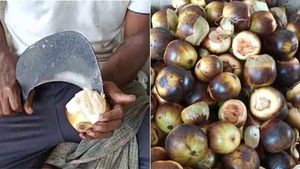 தொடங்கிய நுங்கு அறுவடை.. உள்ளூர்களில் களைகட்டும் விற்பனை.. ஆர்வம் காட்டும் மக்கள்! 