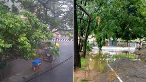 புயல் போன்ற காற்று.. வேரோடு சாய்ந்த மரங்கள்.. வெளுத்து வாங்கும் மழை.. 2வது நாளாக தடுமாறும் பெங்களூர்