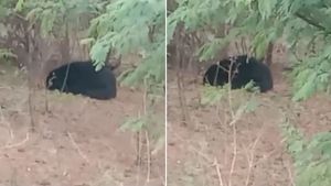 யார்டா அது.. அசையாமல் இருந்த  உருவம்.. அருகில் சென்ற 2 பேர்.. அலறி அடித்து ஓட்டம் 