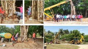 புதுவையில் வேரோடு பிடுங்கியெறியப்பட்ட  ஆலமரம்.. மீண்டும் நட்டு உயிர்ப்பிக்க சமூக ஆர்வலர்கள் முயற்சி 