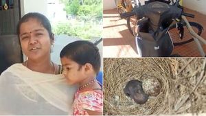 ரோபோவுக்கு ஒரு பக்ஷிராஜன்.. மதுரைக்கு ஒரு அருண்.. சிட்டுக்குருவிக்காக பைக்கை வீடாக்கிய நெகிழ்ச்சி 