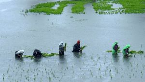 20.5 செமீ  மழை பெய்யும்.. 50 கிமீ வேகத்திற்கு காற்று வீசும்.. கேரளா இடுக்கிக்கு ரெட் அலர்ட்.. கனமழை!