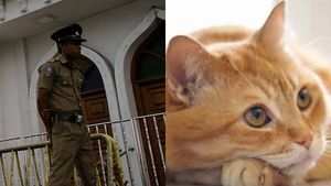 அன்று புலிகளை தேடிய இலங்கை போலீஸ்.... இன்று ஹெராயின் கடத்தலில் பிடிபட்டு தப்பிய பூனையை தேடுதாம் 