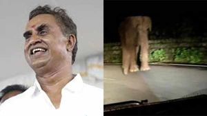 ராத்திரி நேரத்தில்.. எஸ்பி வேலுமணி காரையே வழிமறித்த அந்த ஒற்றை காட்டு யானை.. ஊட்டி ரோட்டில் பரபரப்பு