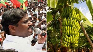 அடிமாட்டு விலையில் வாழைத்தார்கள்... வாழை விவசாயிகள் வாழ்வாதாரம் நாசம்... வேல்முருகன் வேதனை 