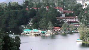 கொடைக்கானலுக்கு போறீங்களா.. அதுவும் பஸ்ல போறீங்களா.. அப்ப இ பாஸே தேவையில்லை! 