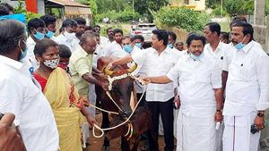 விபத்தால் முடங்கிய குடும்பத்தலைவன்... வறுமையில் வாடிய குடும்பம்.. கறவைமாடு வழங்கிய திமுக எம்.எல்.ஏ.!