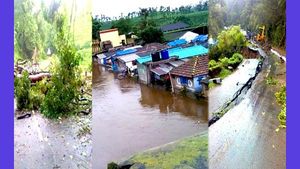  பெருஞ்சத்தம்.. சூறையாடும் சூறாவளி.. துவம்சம் செய்யும் மழை.. அலேக்காக சரிந்து.. கதி கலங்கும் ஊட்டி