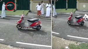  பழனியில் நிலத்தகராறில் துப்பாக்கிச் சூடு- 2 பேர் படுகாயம்- அதிரவைக்கும் சிசிடிவி லைவ் காட்சிகள்!