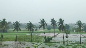 கரையை கடந்த நிவர்.. வேலூரில் 4 மணி நேரத்தில் 10 செ.மீ. மழை.. மக்கள் மகிழ்ச்சி 