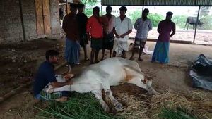 என் வயலில் உன் மாடு மேய்றதா?  மாட்டின் காலை துண்டாக வெட்டி.. தஞ்சையில் நடந்த கொடூரம் 