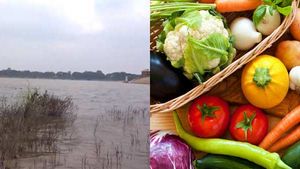 அதிகரித்த மாசு.. பெங்களூர் ஏரி நீரில் விளைவித்த காய்கறிகளில் அதிக அளவு உலோகங்கள்.. ஆய்வில் ஷாக் 