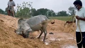 சின்னக் கொம்பனுடன் வாக்கிங்.. பாத்திங், ஸ்விம்மிங் கற்று கொடுத்த அமைச்சர் விஜயபாஸ்கர்! 