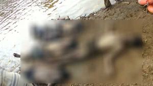 திண்டுக்கல் ஆத்தூர் அணையில் நீரில் மூழ்கி 5 சிறுவர்கள் பரிதாபமாக உயிரிழப்பு 