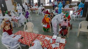94.3% வரை துல்லியம்.. கொரோனாவை சரியாக கண்டறியும் நாய்கள்.. லண்டன் ஆராய்ச்சியாளர்கள் சாதித்தது எப்படி