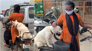 இந்த ஜூலிக்கு ஐந்து வயதுதாங்க. சித்ரா வண்டியை ஸ்டார்ட் செய்தால் போதும்.. தாவி வந்து உட்காருது! செம! 
