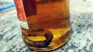 குவாட்டரில் பாம்பு..  முதல் ரவுண்டில் ஒன்றும் தெரியல.. 2வது ரவுண்டில்.. அலறிய விவசாயி!