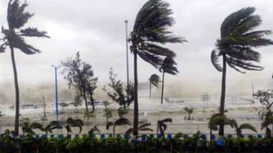 கன்னியாகுமரி மாவட்டம் வரை எதிரொலிக்கும் யாஸ் புயல் தாக்கம்.. பெரும் காற்று, கன மழை! மரங்கள் சாய்ந்தன