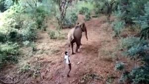  இவங்களுக்கு இதயமே இல்லையா?.. யானைகளை கொடுமைப்படுத்தும் கொடூரர்கள்.. ஷாக் வீடியோ! 